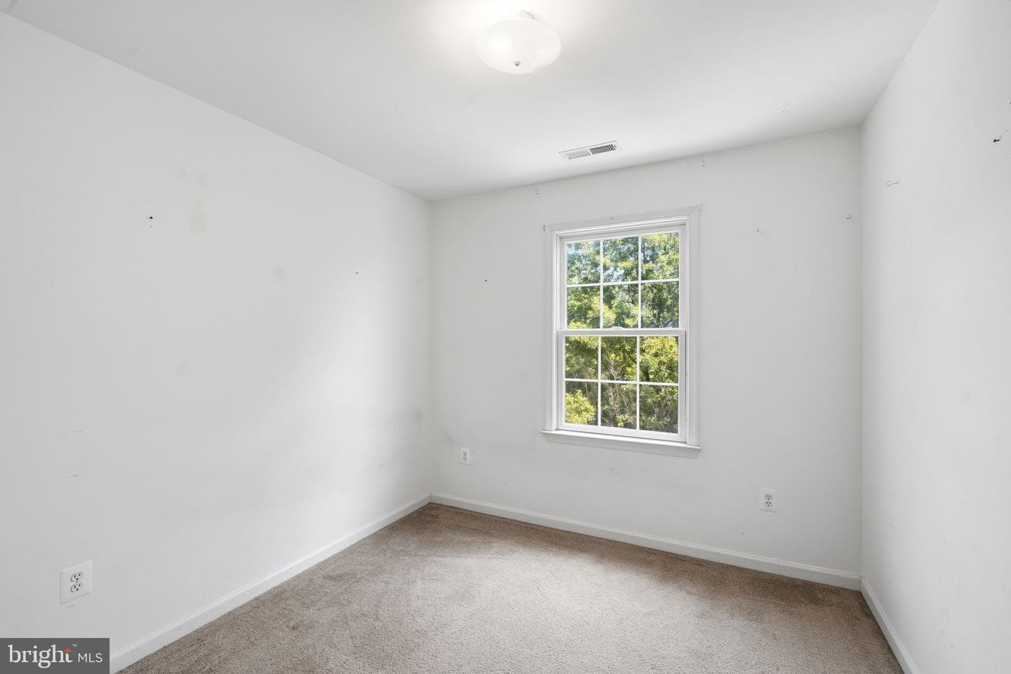 104 Acorn Drive photo 19