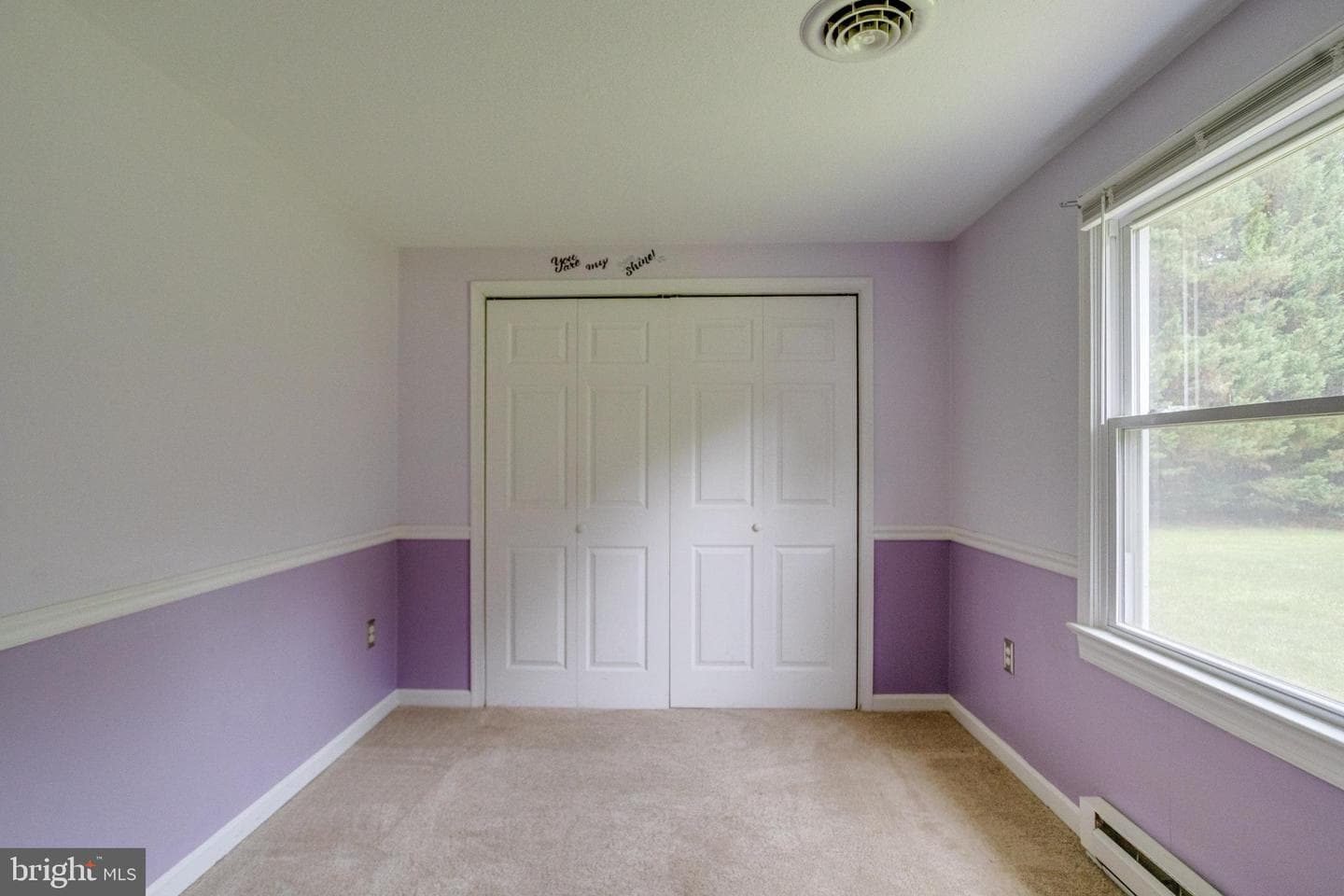 22481 Goose Hollow Drive photo 34
