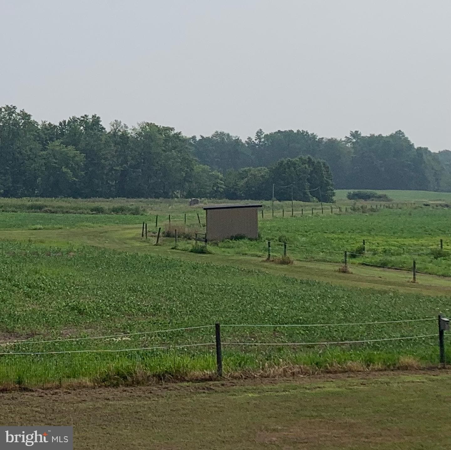 13235 Knotts Lane photo 11