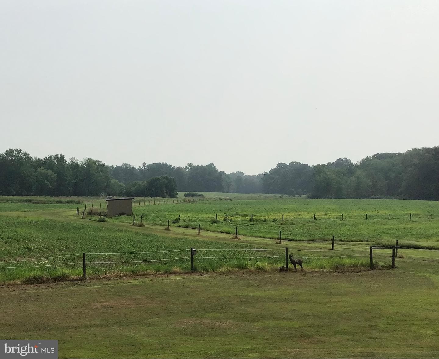13235 Knotts Lane photo 22