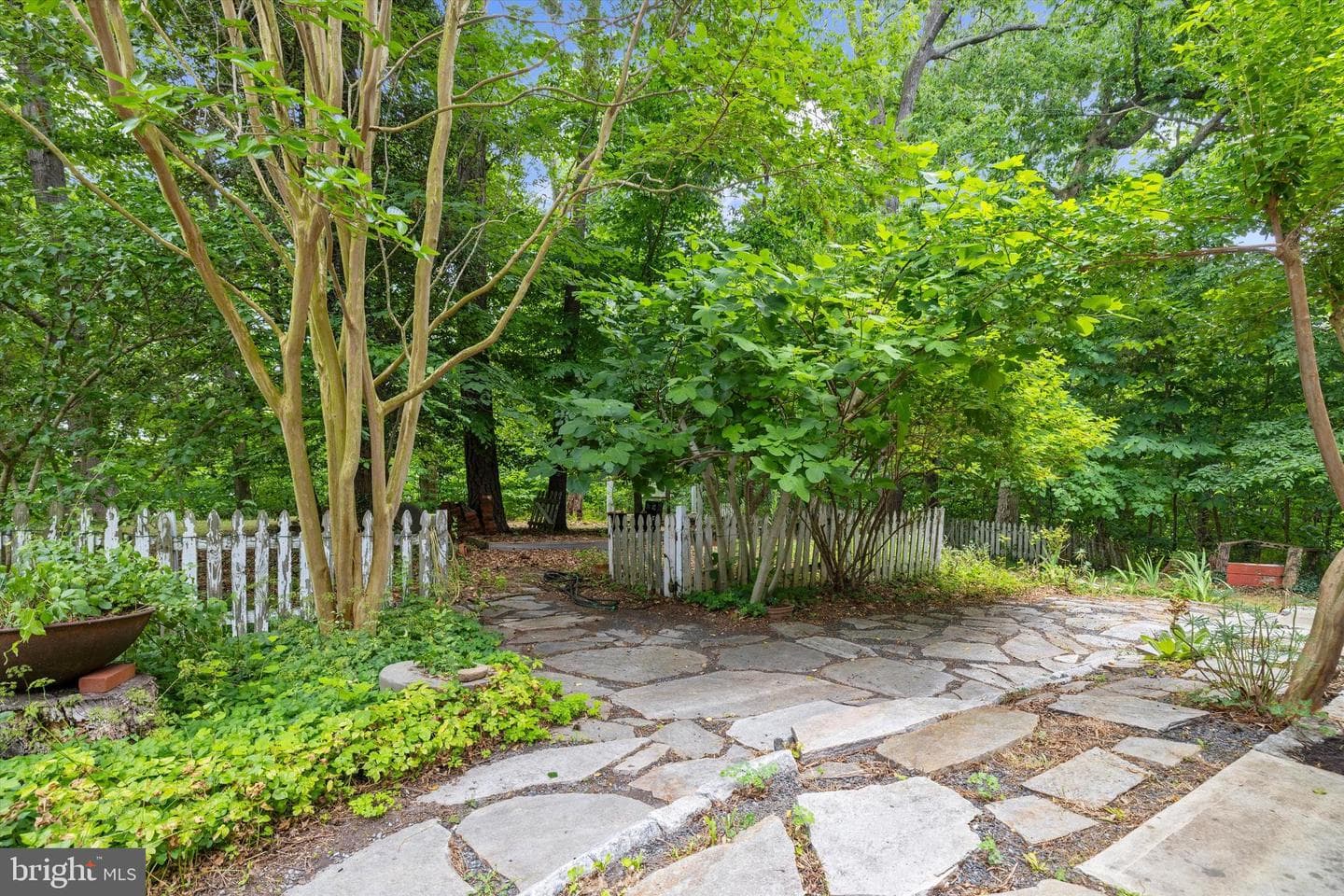 24050 Macs Lane photo 30