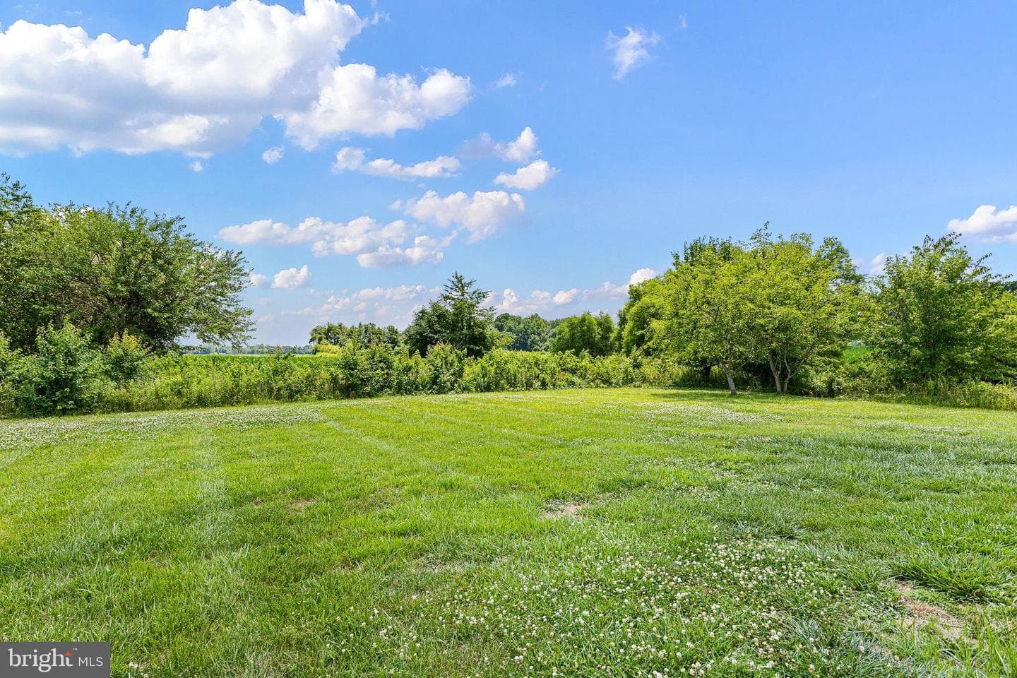 25003 Heather Lane photo 3
