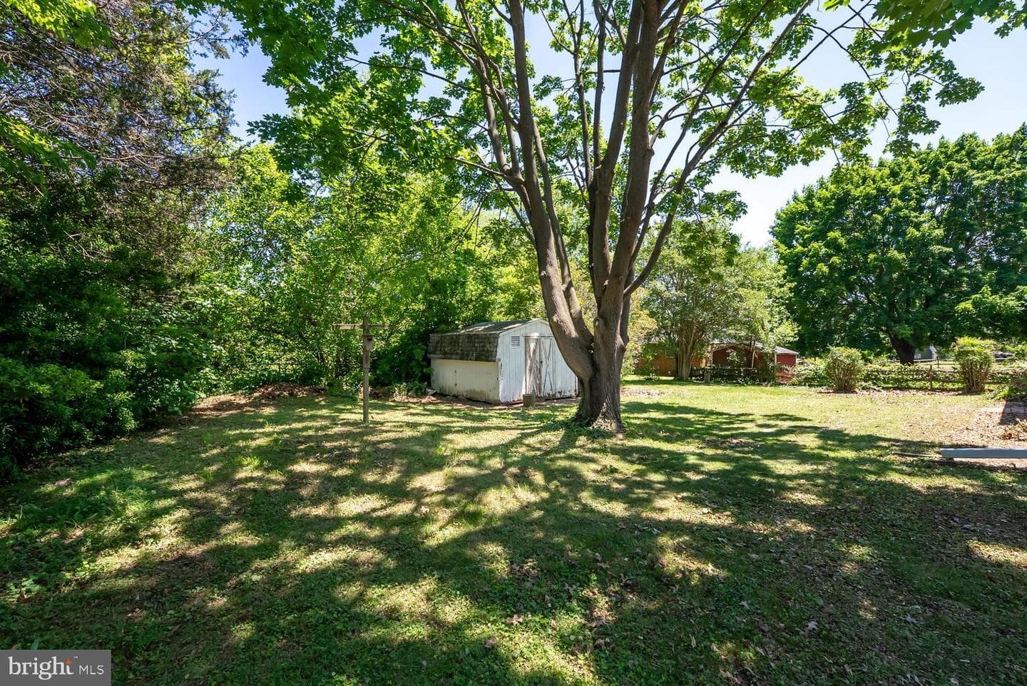109 Cedar Street photo 22