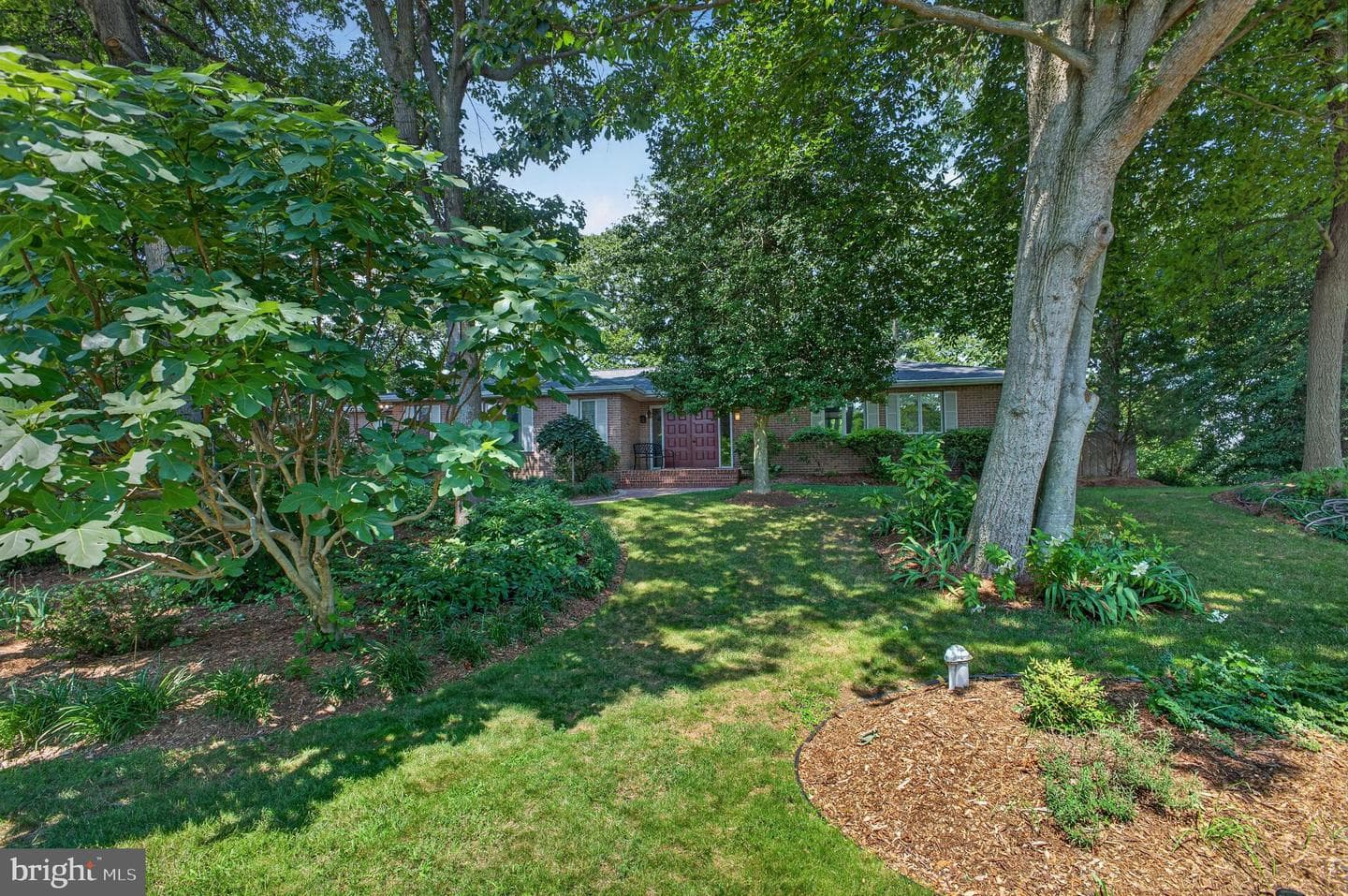 12555 Coopers Lane photo 50