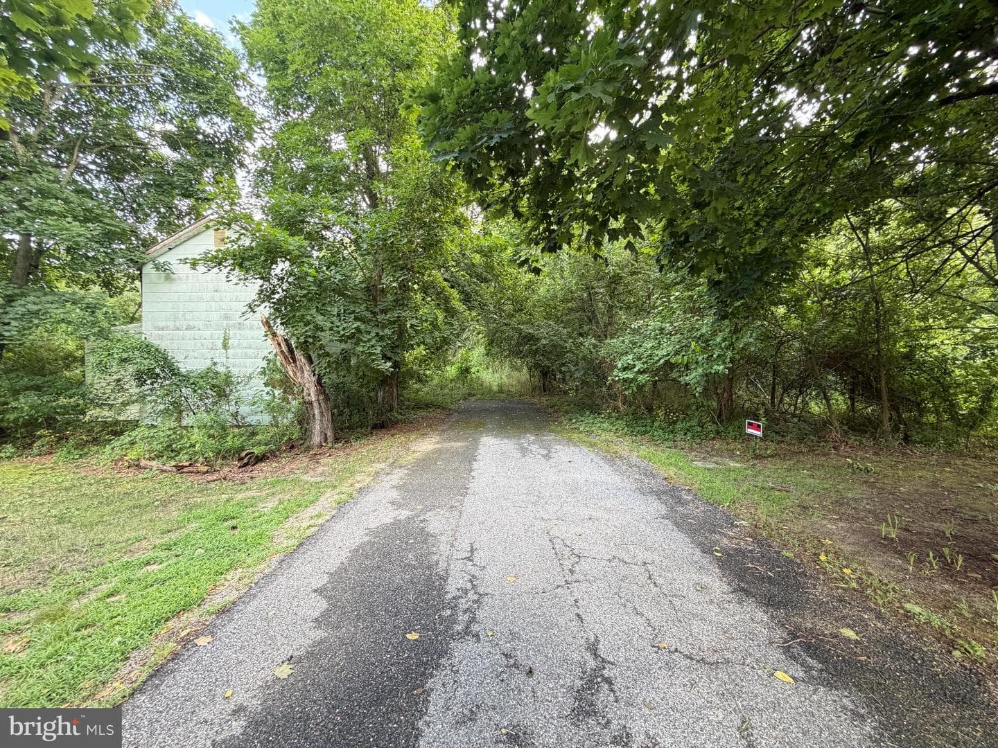 316 Middle Street photo 11
