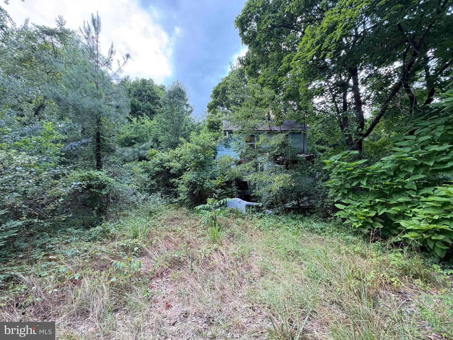 316 Middle Street photo 7