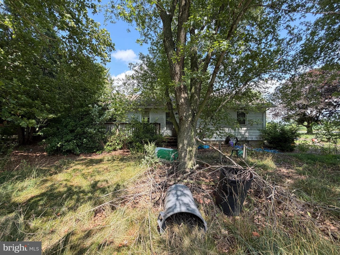 10540 Worton Road photo 10