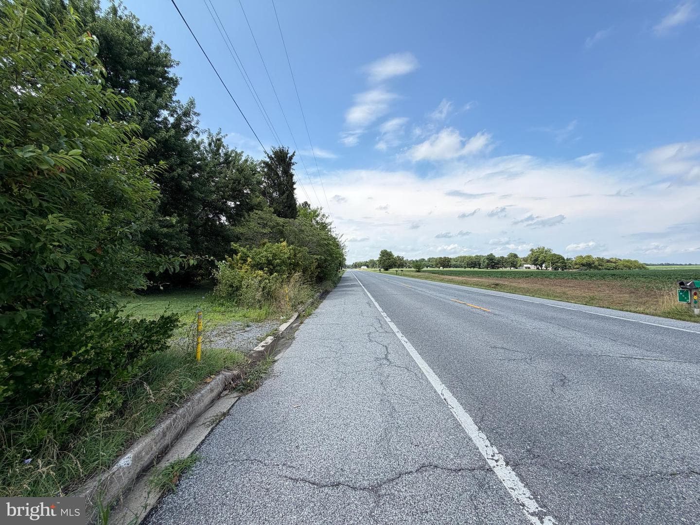 10540 Worton Road photo 13