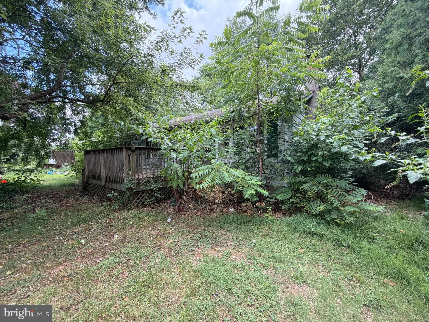 10540 Worton Road photo 28