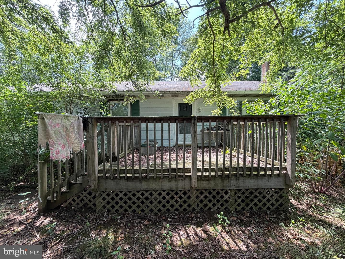 10540 Worton Road photo 4