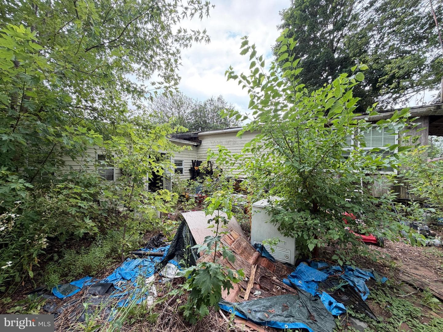 10520 Worton Road photo 15