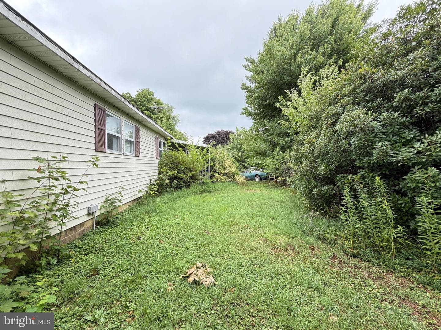 10520 Worton Road photo 9