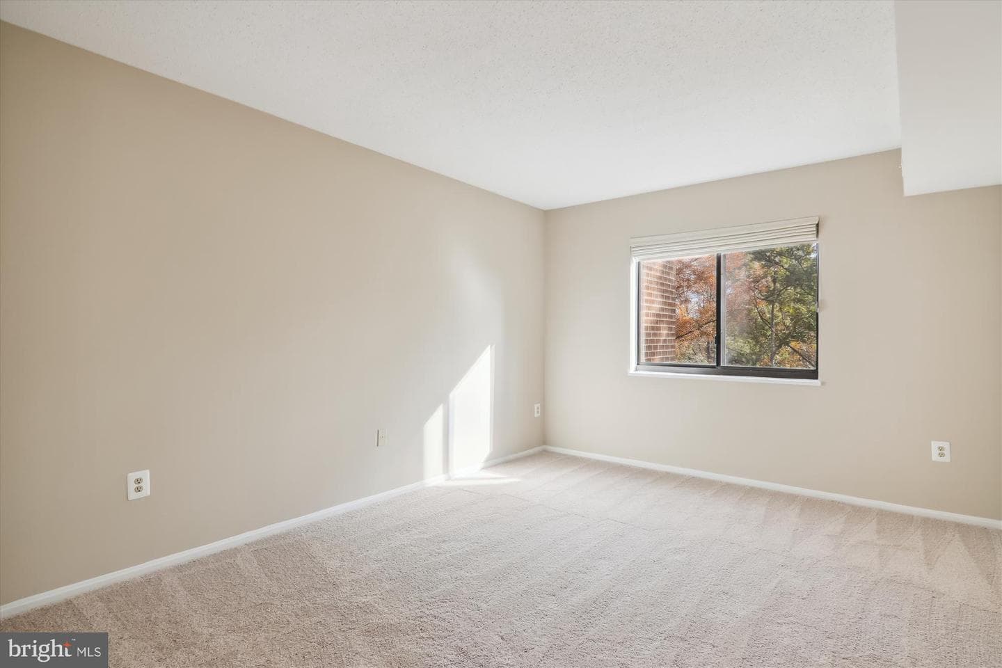 15100 Interlachen Drive #4-816 photo 10