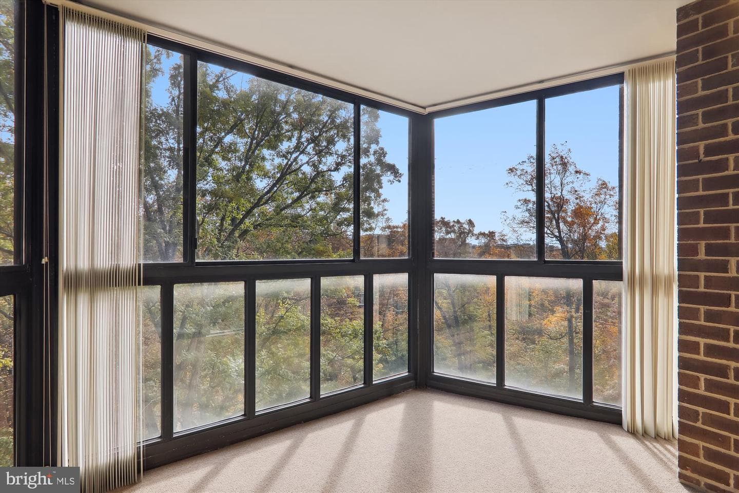 15100 Interlachen Drive #4-816 photo 12