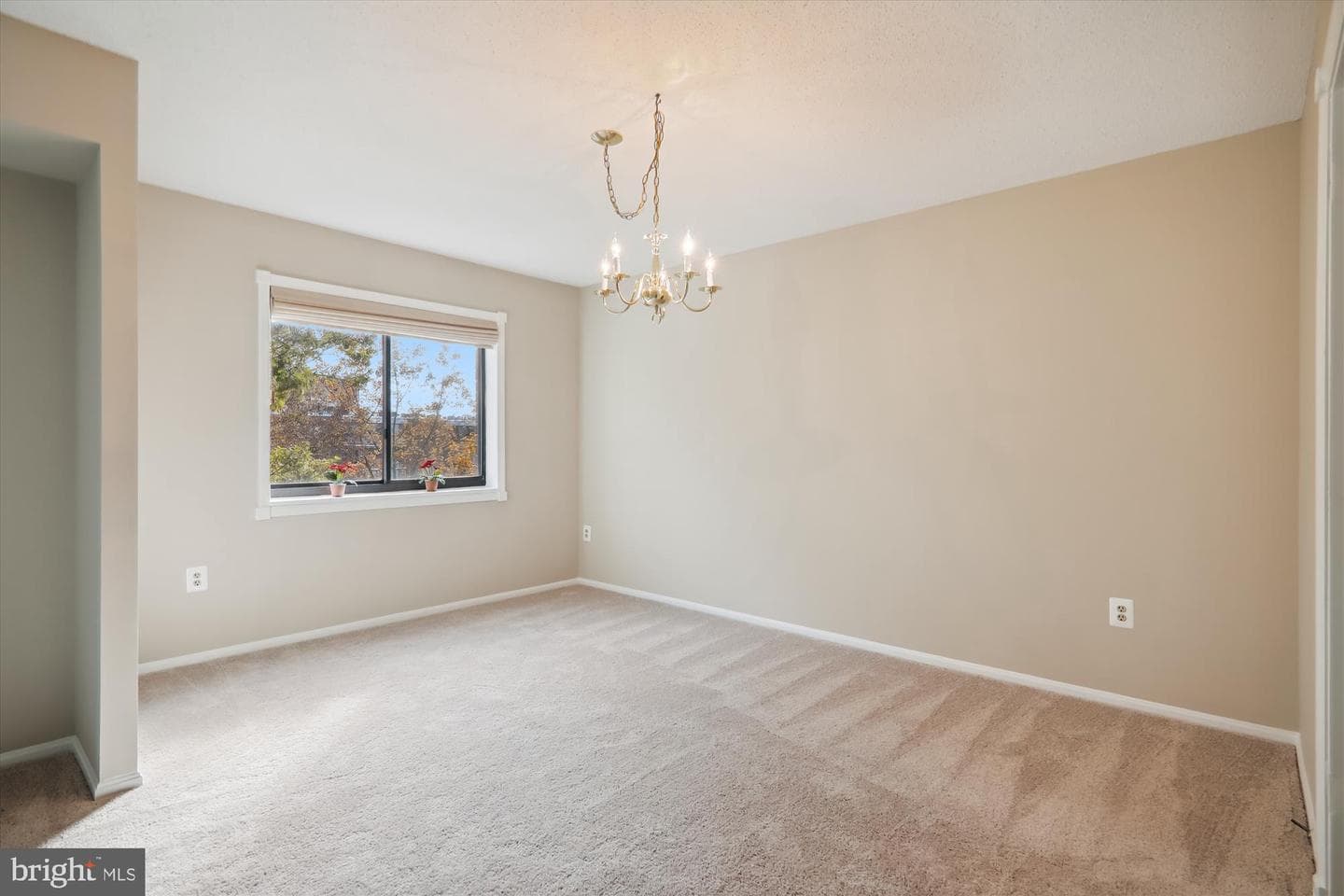 15100 Interlachen Drive #4-816 photo 8