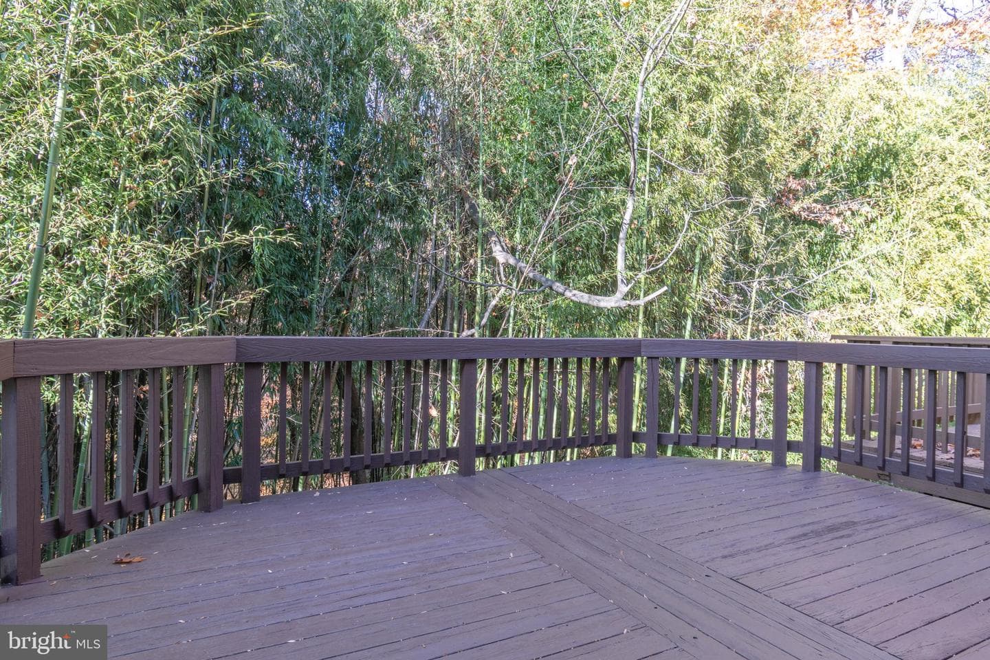 14620 Almanac Drive photo 11