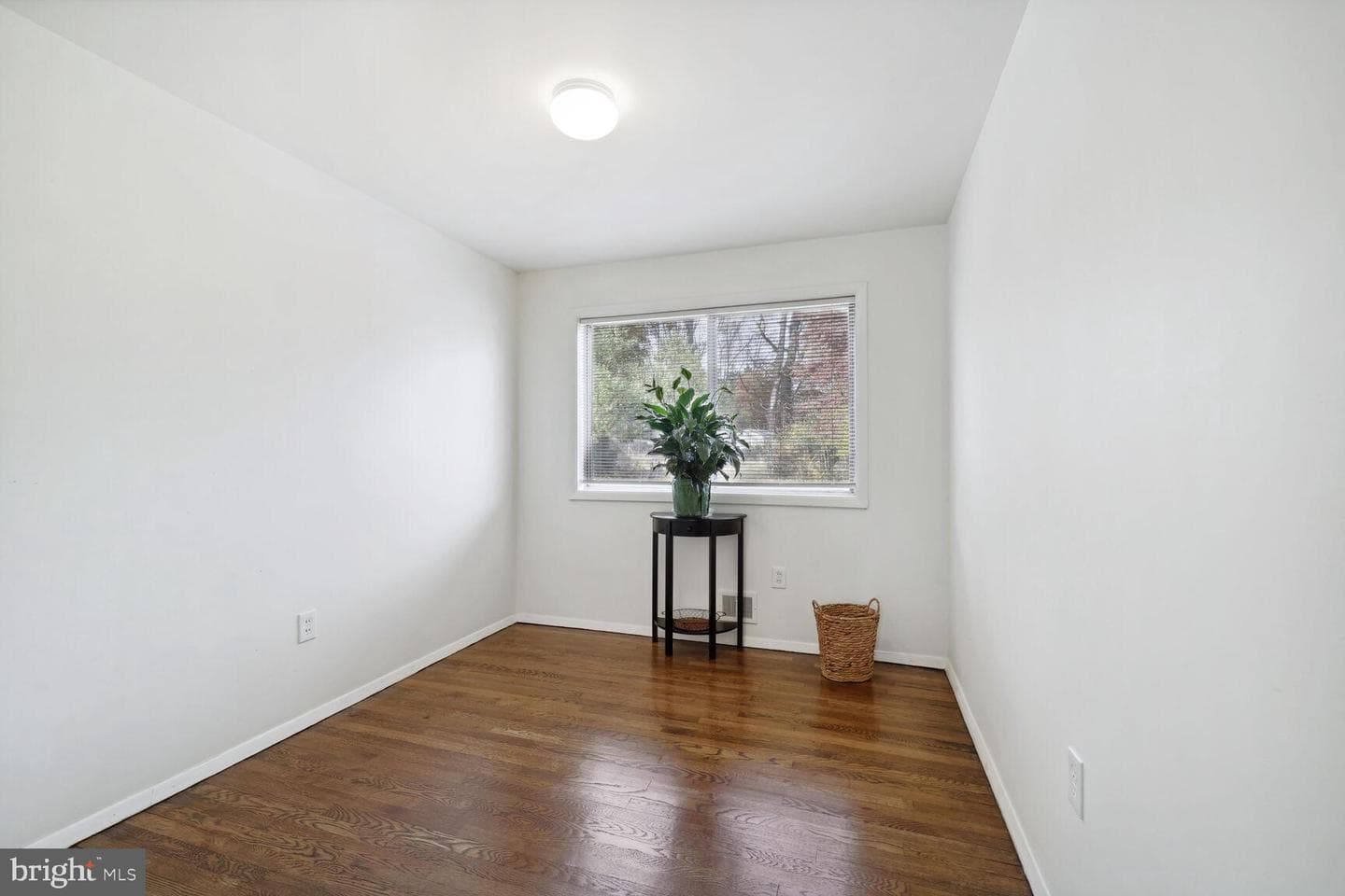 1010 Downs Drive photo 13