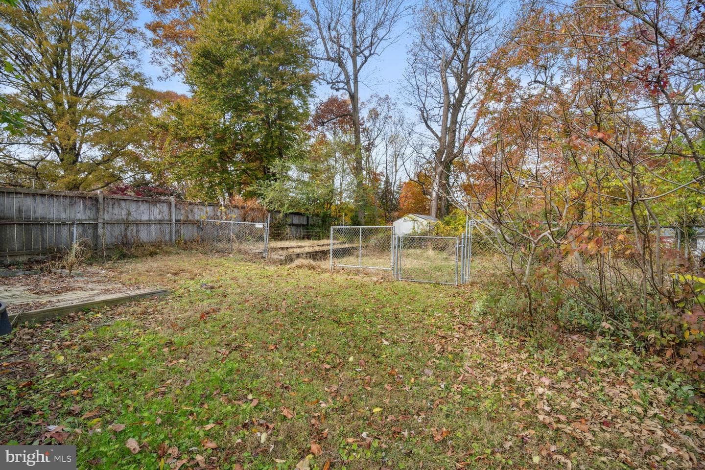 1010 Downs Drive photo 24