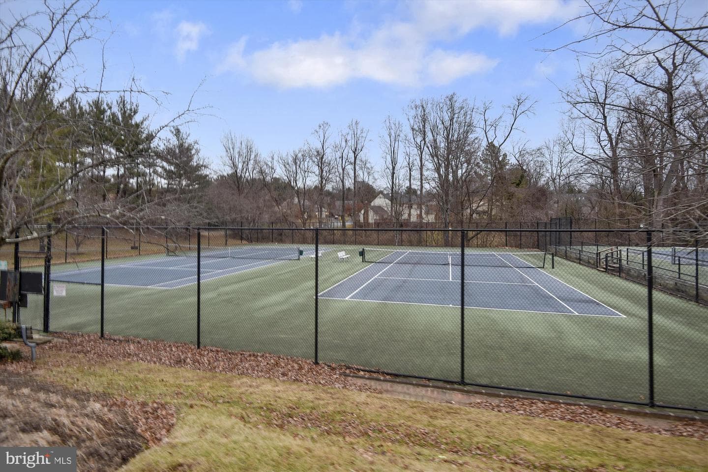 3 Bloomingdale Court photo 68