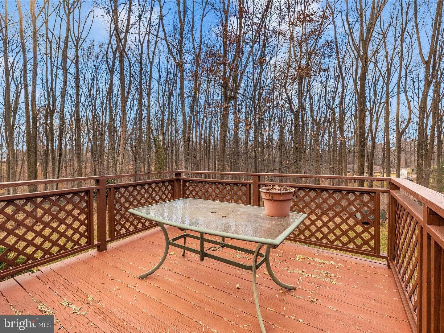 24412 Kakae Drive photo 42