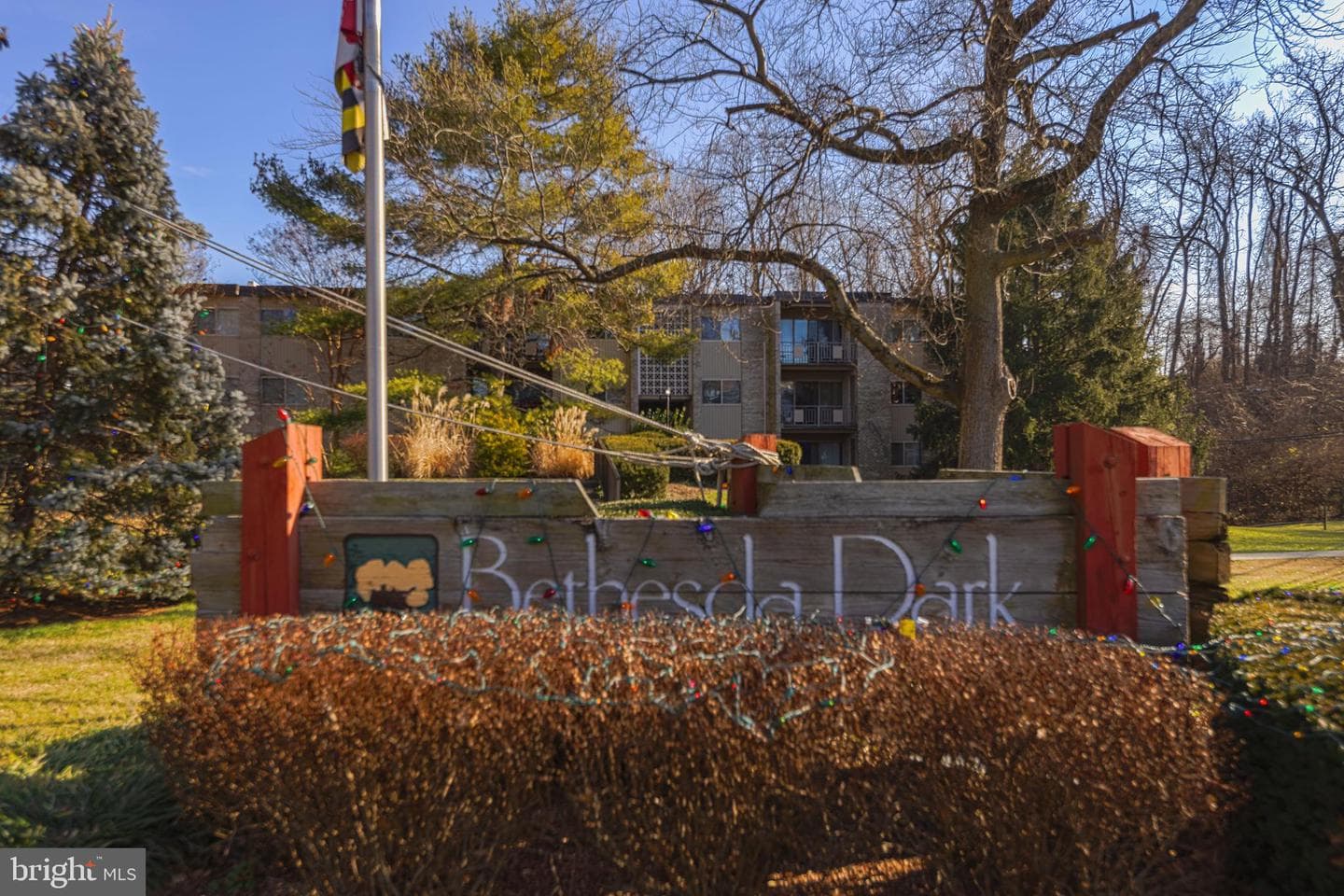 12204 Braxfield Court #3 -229 photo 1