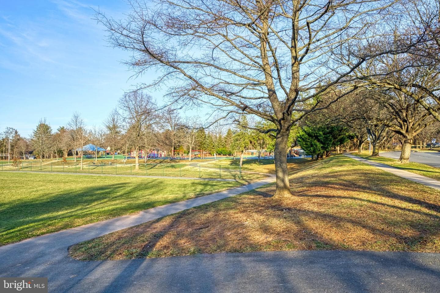 12612 Orchard Brook photo 54