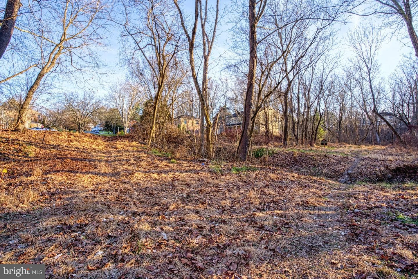 12612 Orchard Brook photo 58