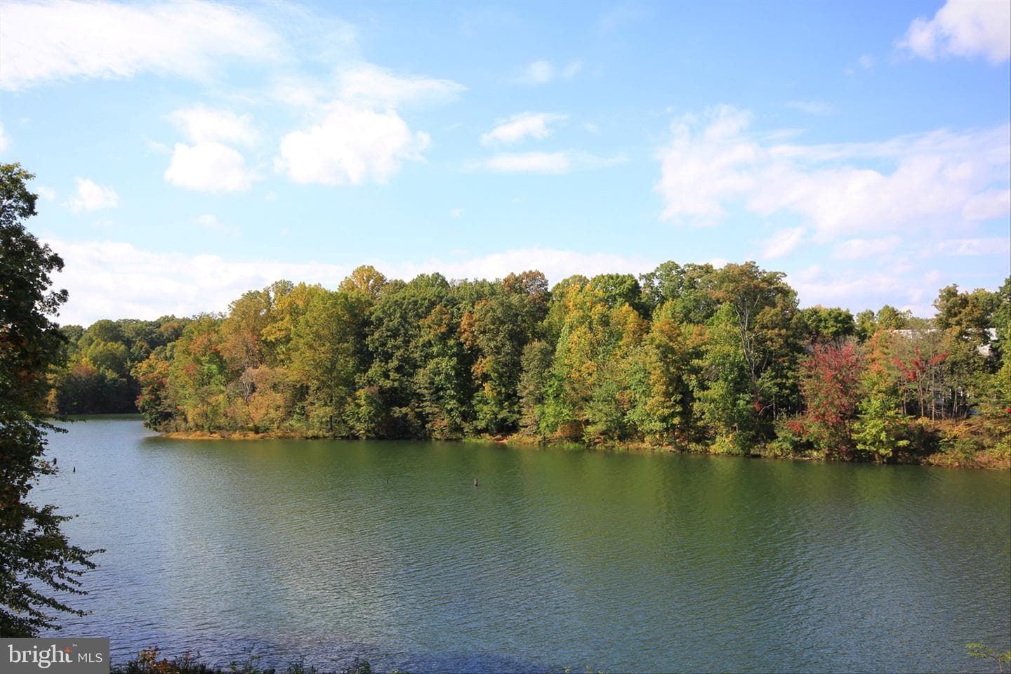 20547 Summersong Lane photo 57