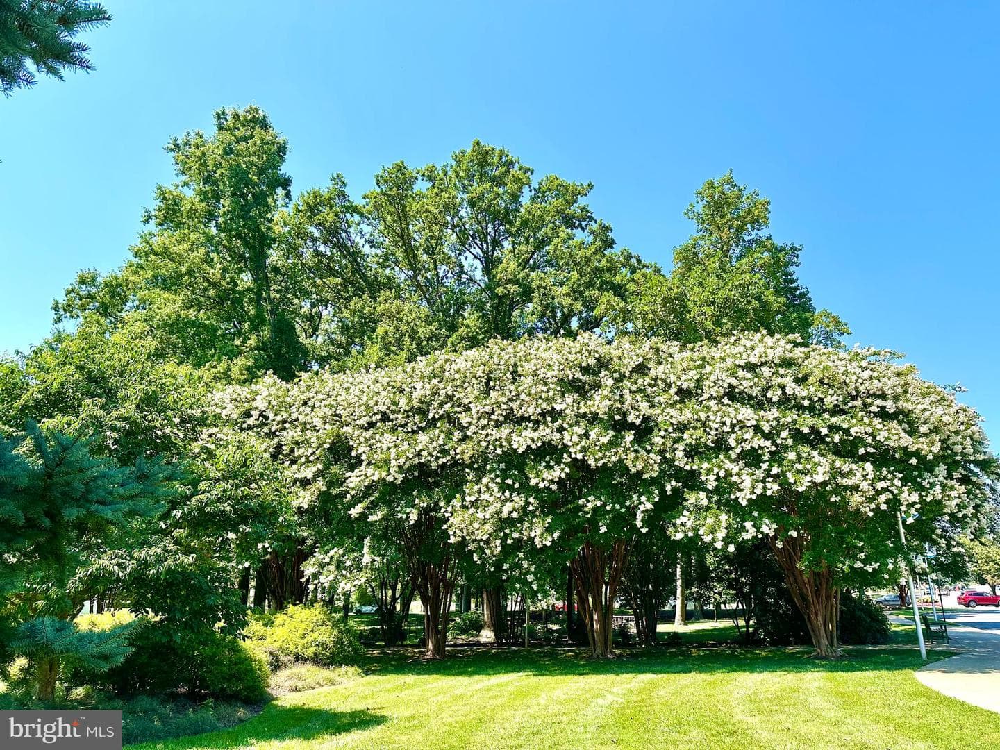 15115 Interlachen Drive #3-418 photo 43