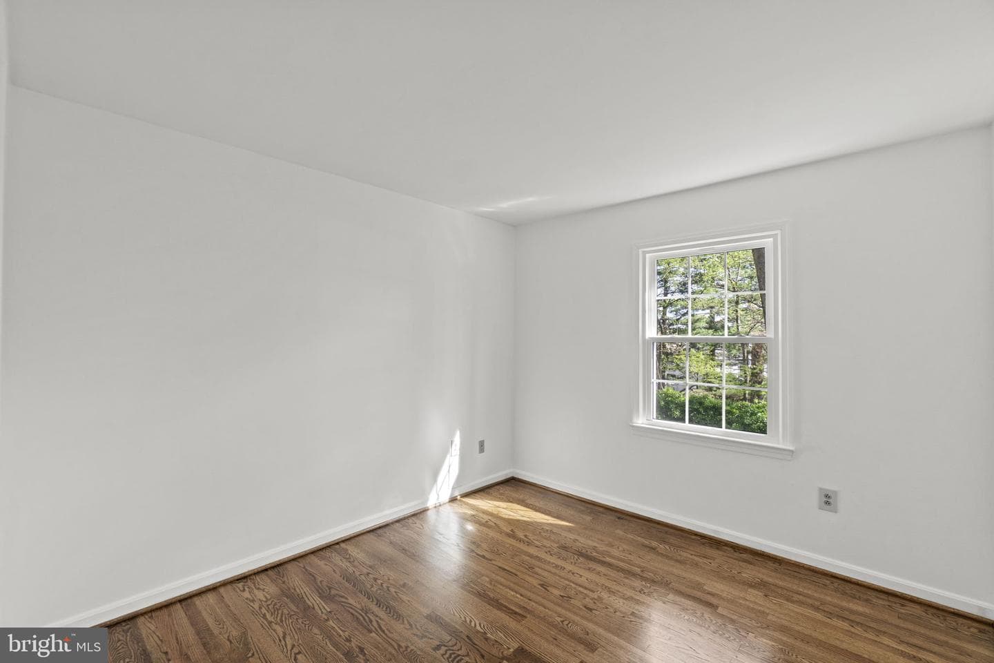 21 Brighton Drive photo 22