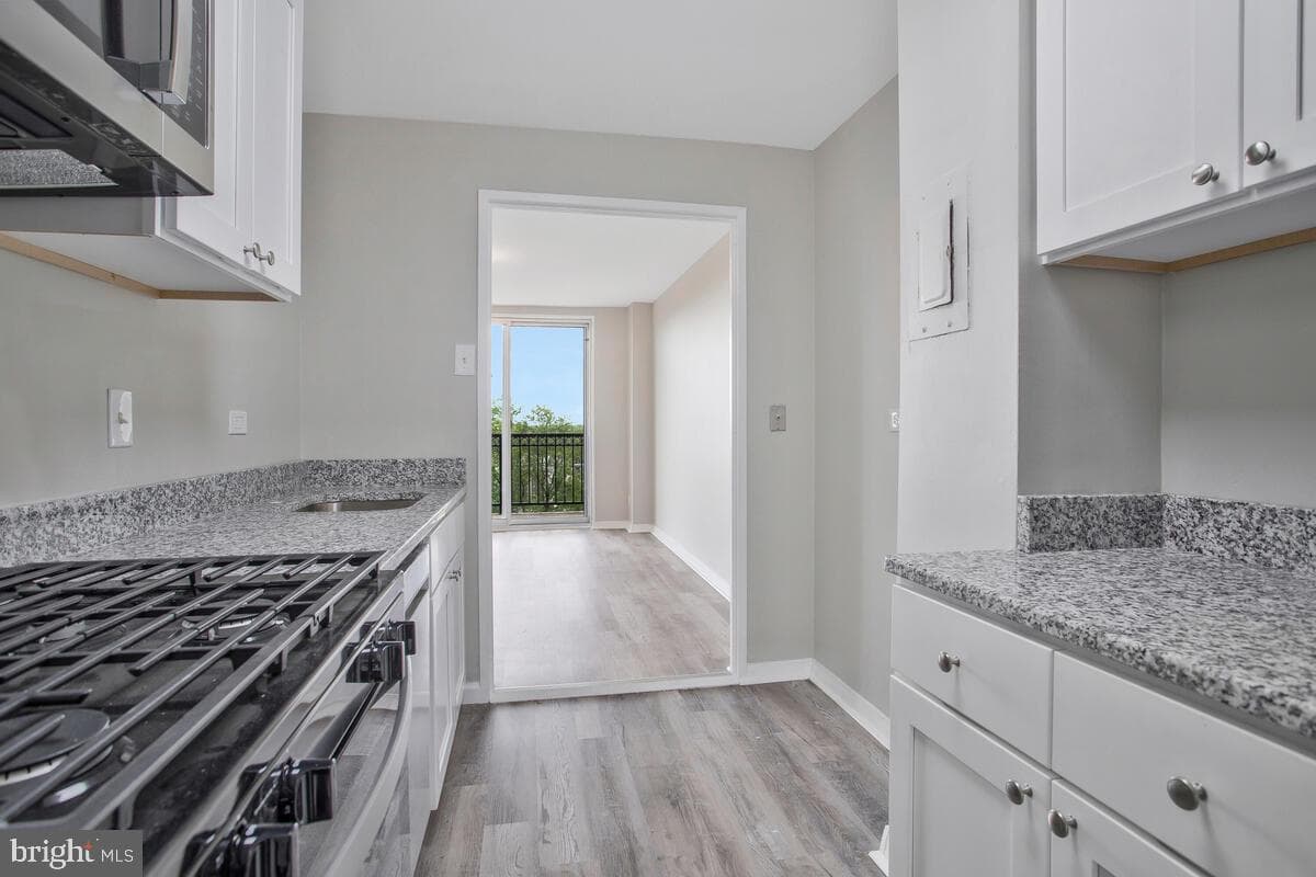 1900 Lyttonsville Road #1311 photo 10