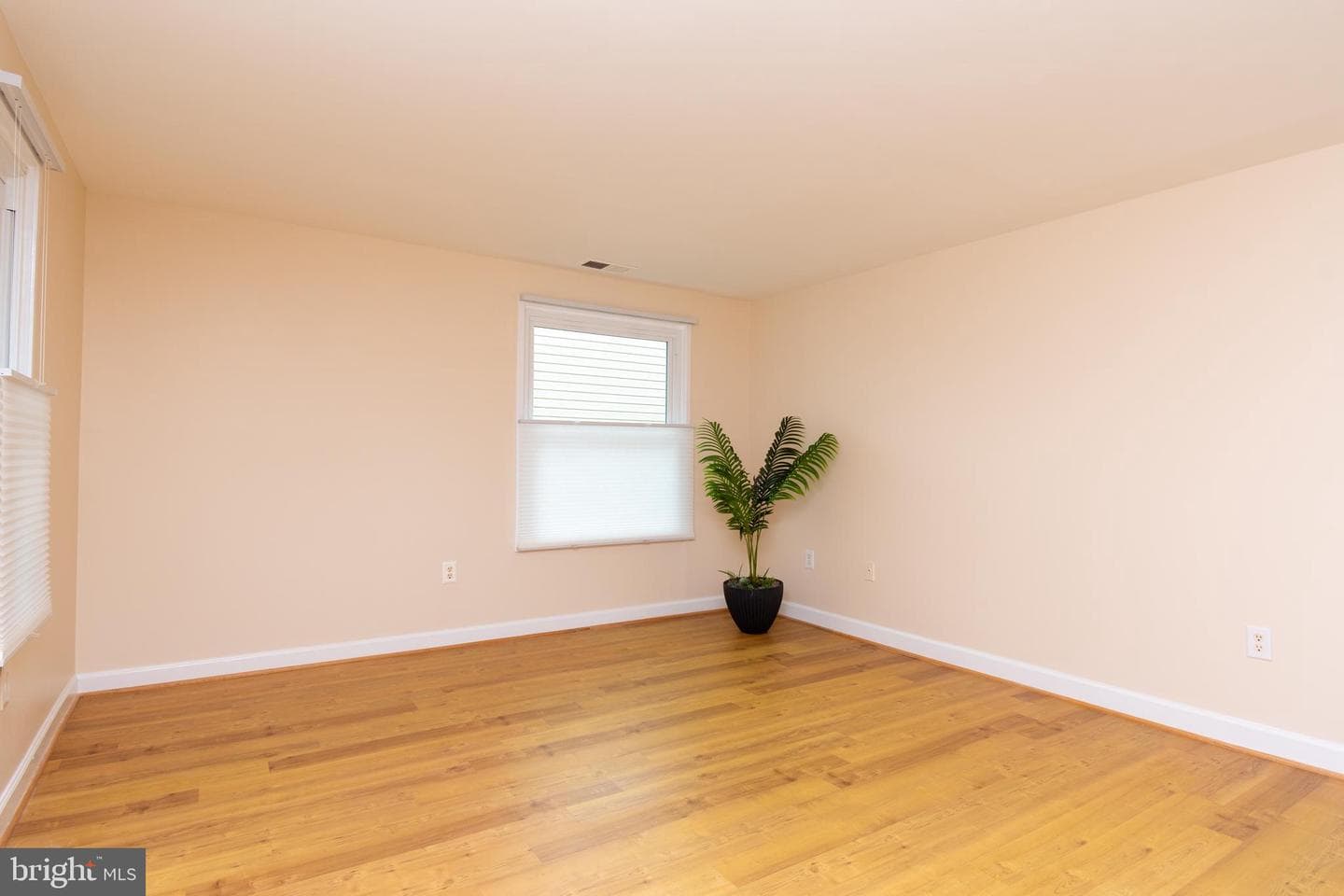 10722 Lester Street photo 7