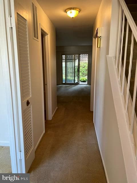12606 English Orchard Court photo 8