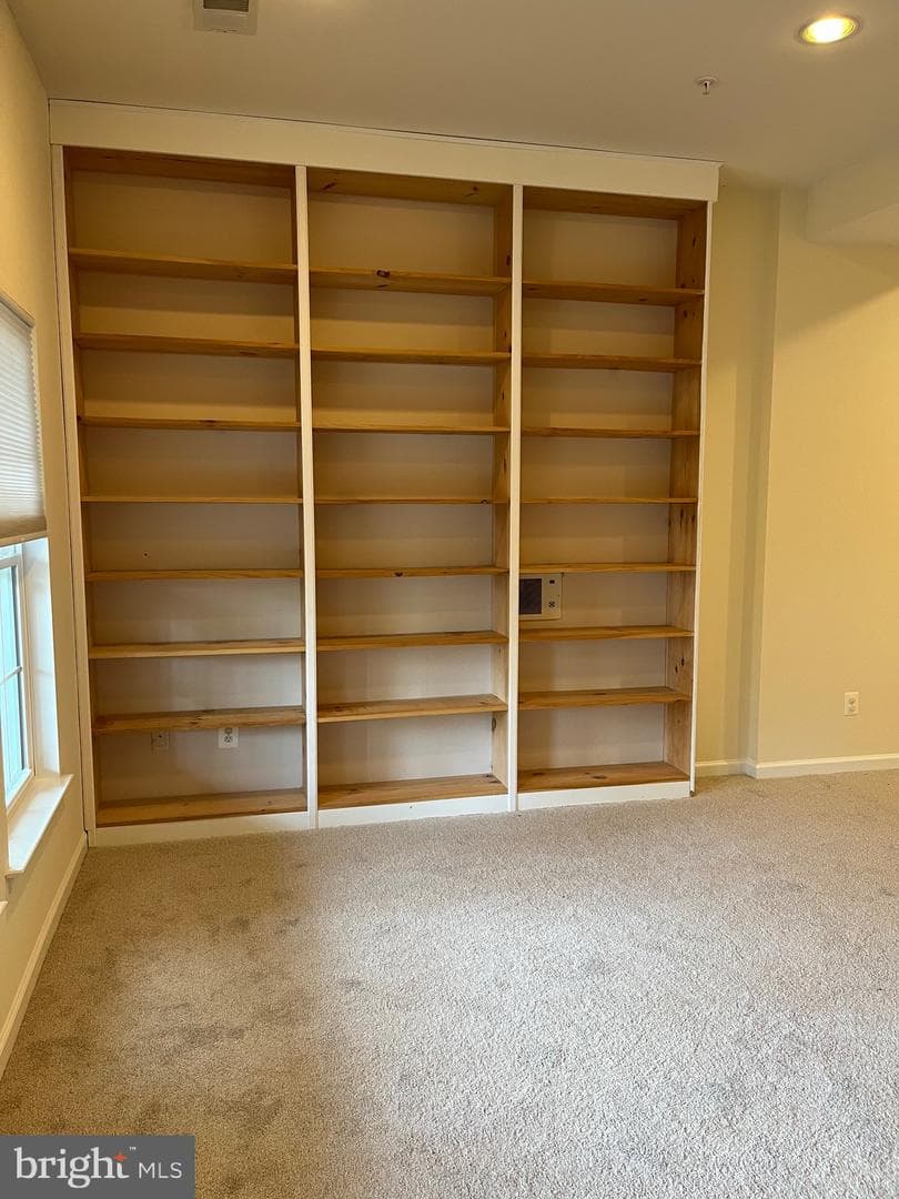 10491 Damascus Park Lane photo 15