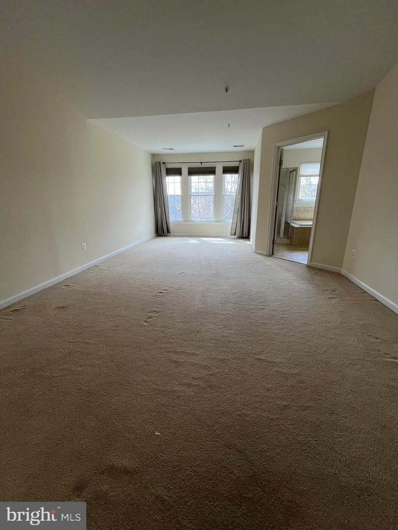 10491 Damascus Park Lane photo 32