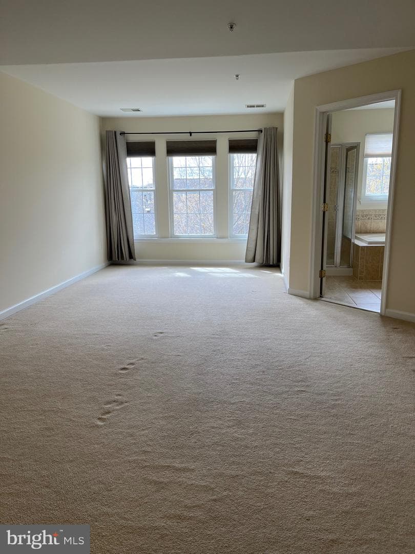 10491 Damascus Park Lane photo 33