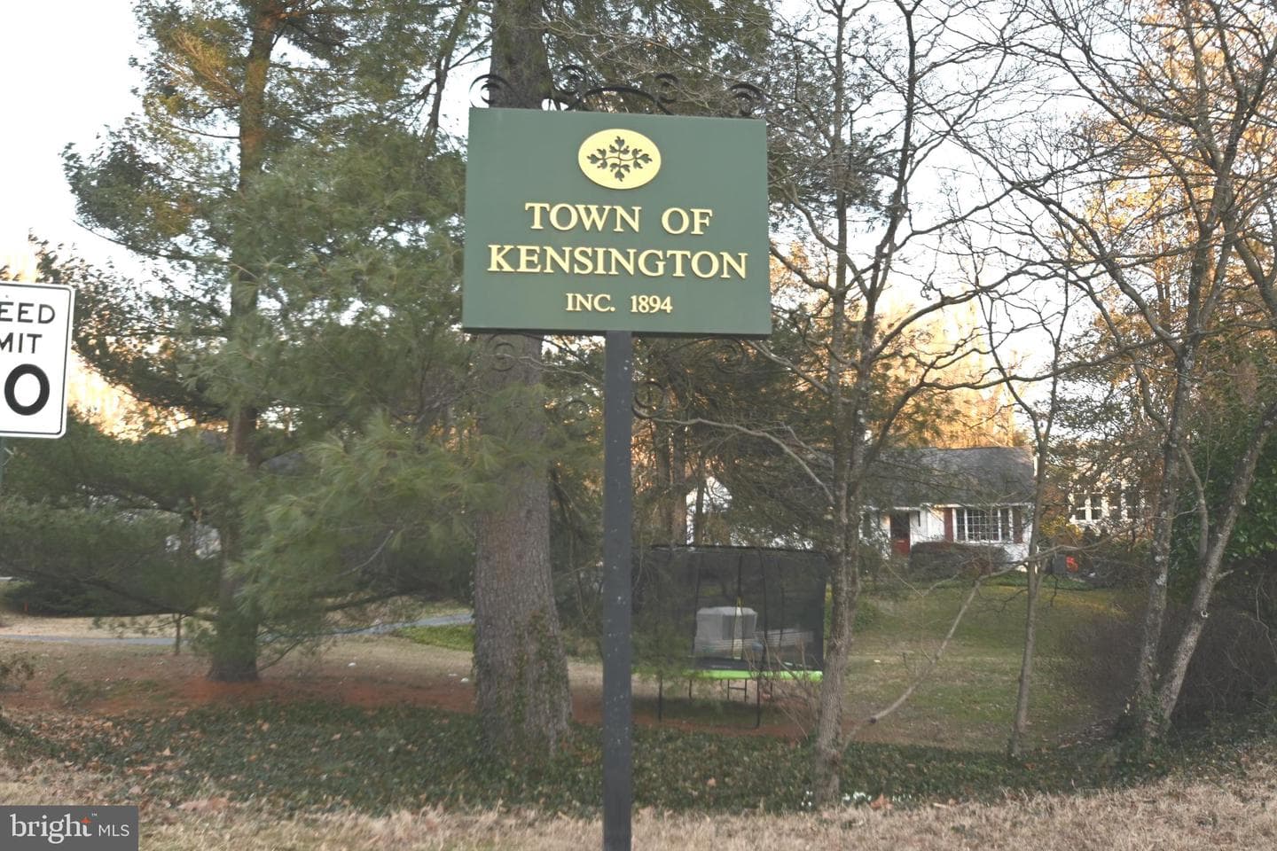 10003 Kensington Parkway photo 6