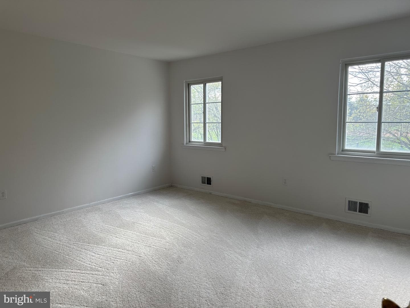 15485 Peach Leaf Drive photo 13
