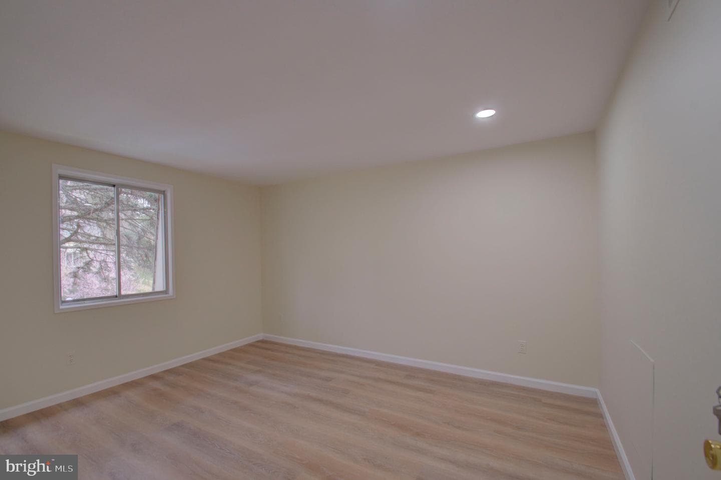 10508 Cambridge Court photo 18