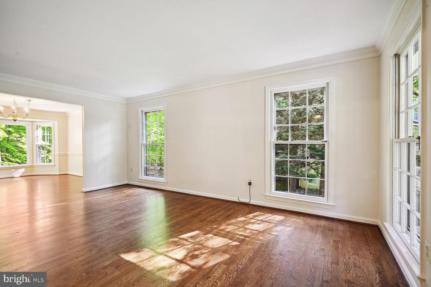 2807 Regina Drive photo 10