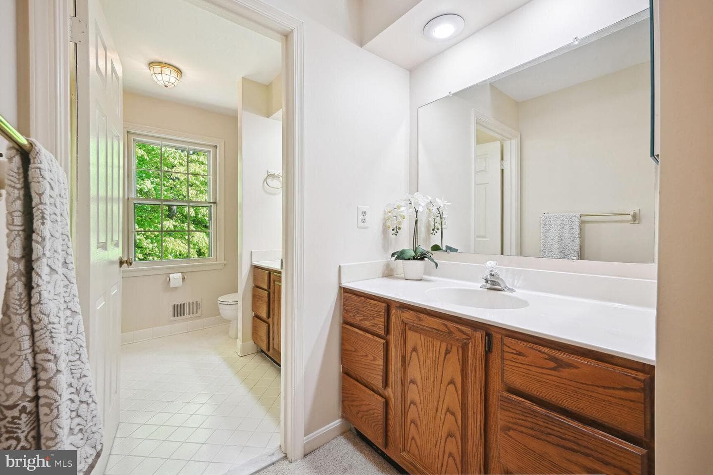 2807 Regina Drive photo 48