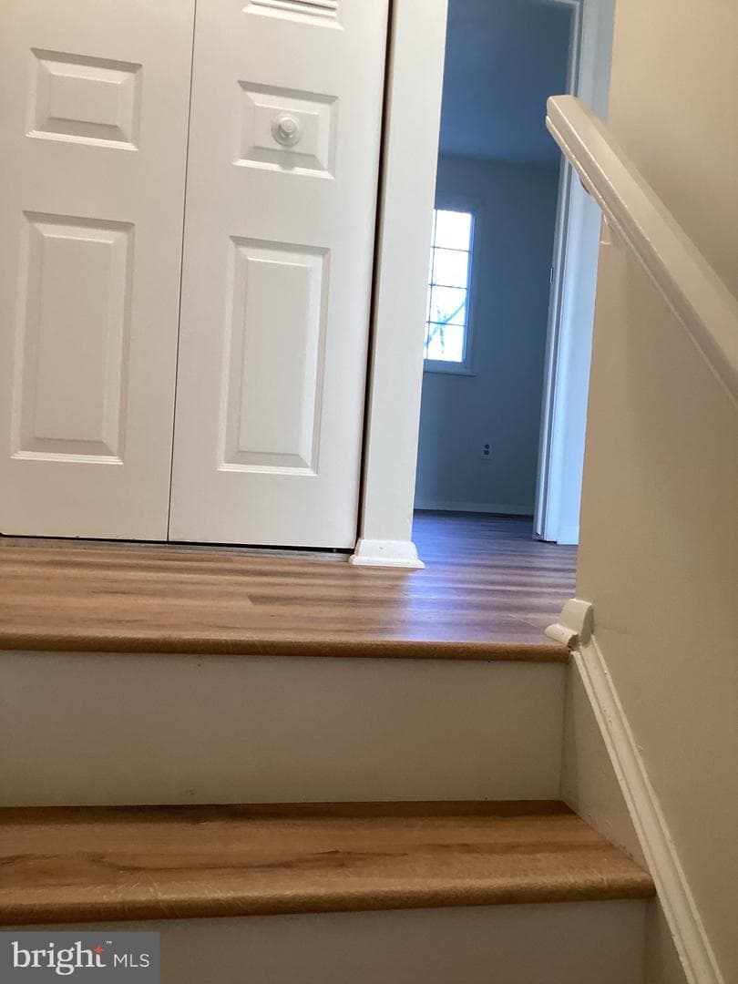 12527 Willow Spring Circle photo 15