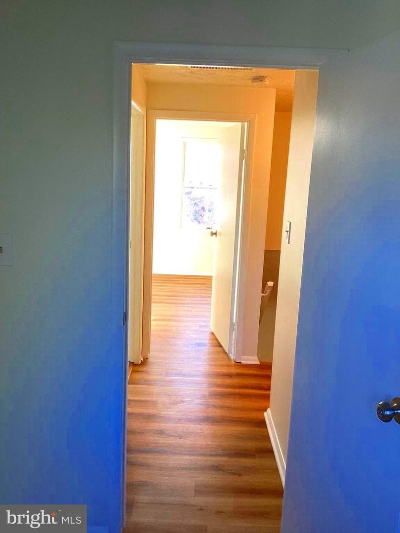 12527 Willow Spring Circle photo 26