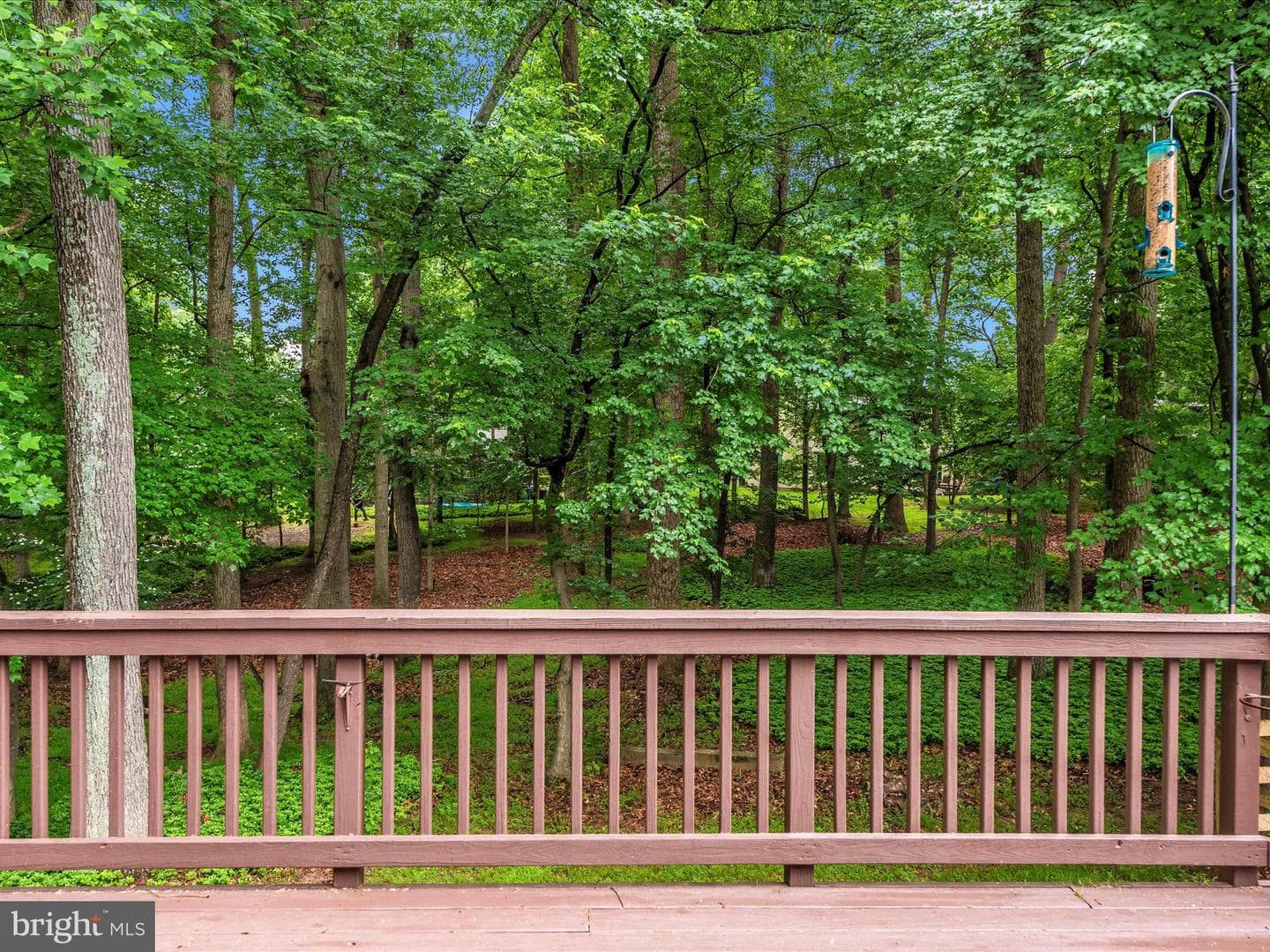 15005 Good Meadow Court photo 47
