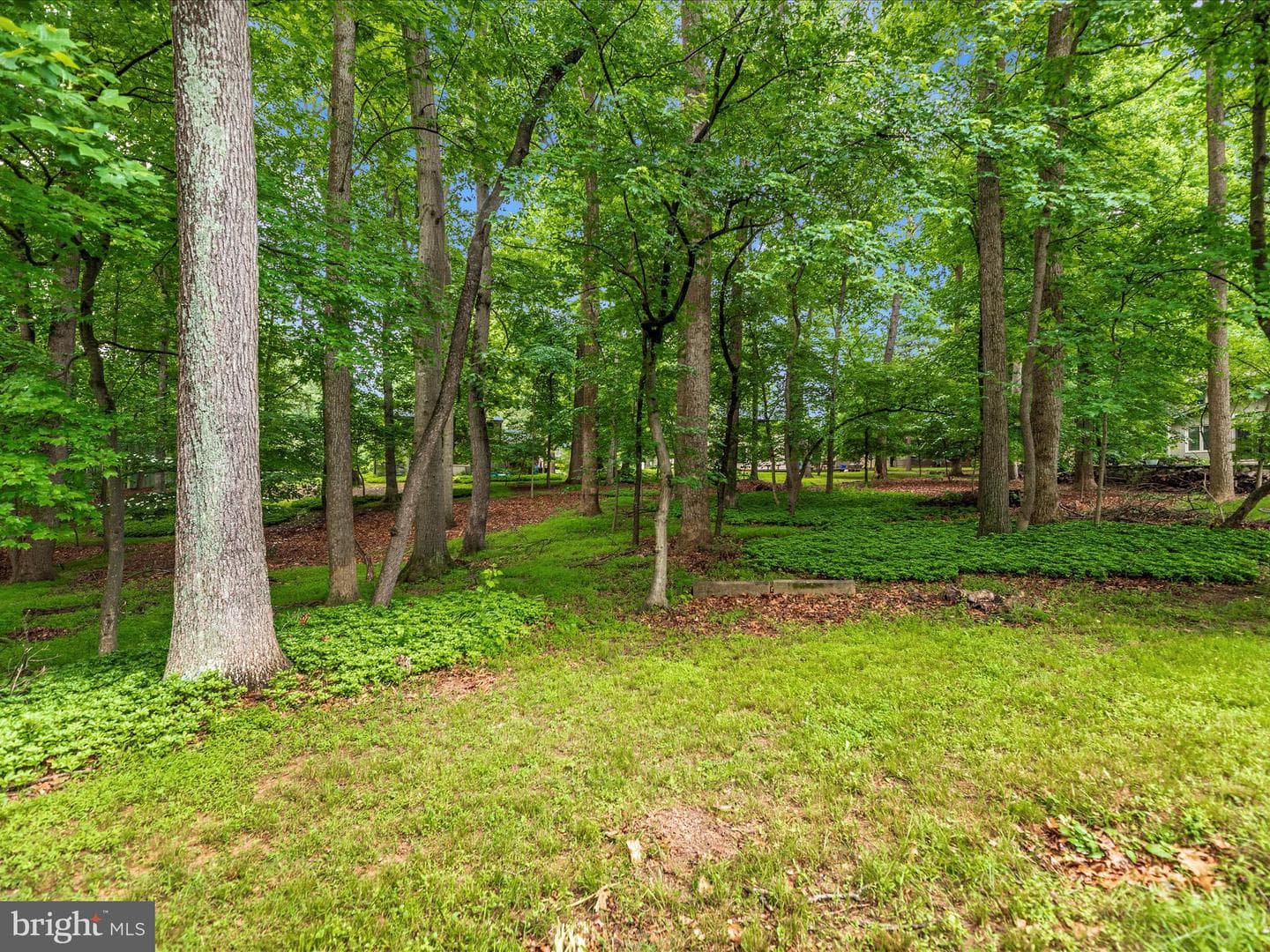15005 Good Meadow Court photo 52