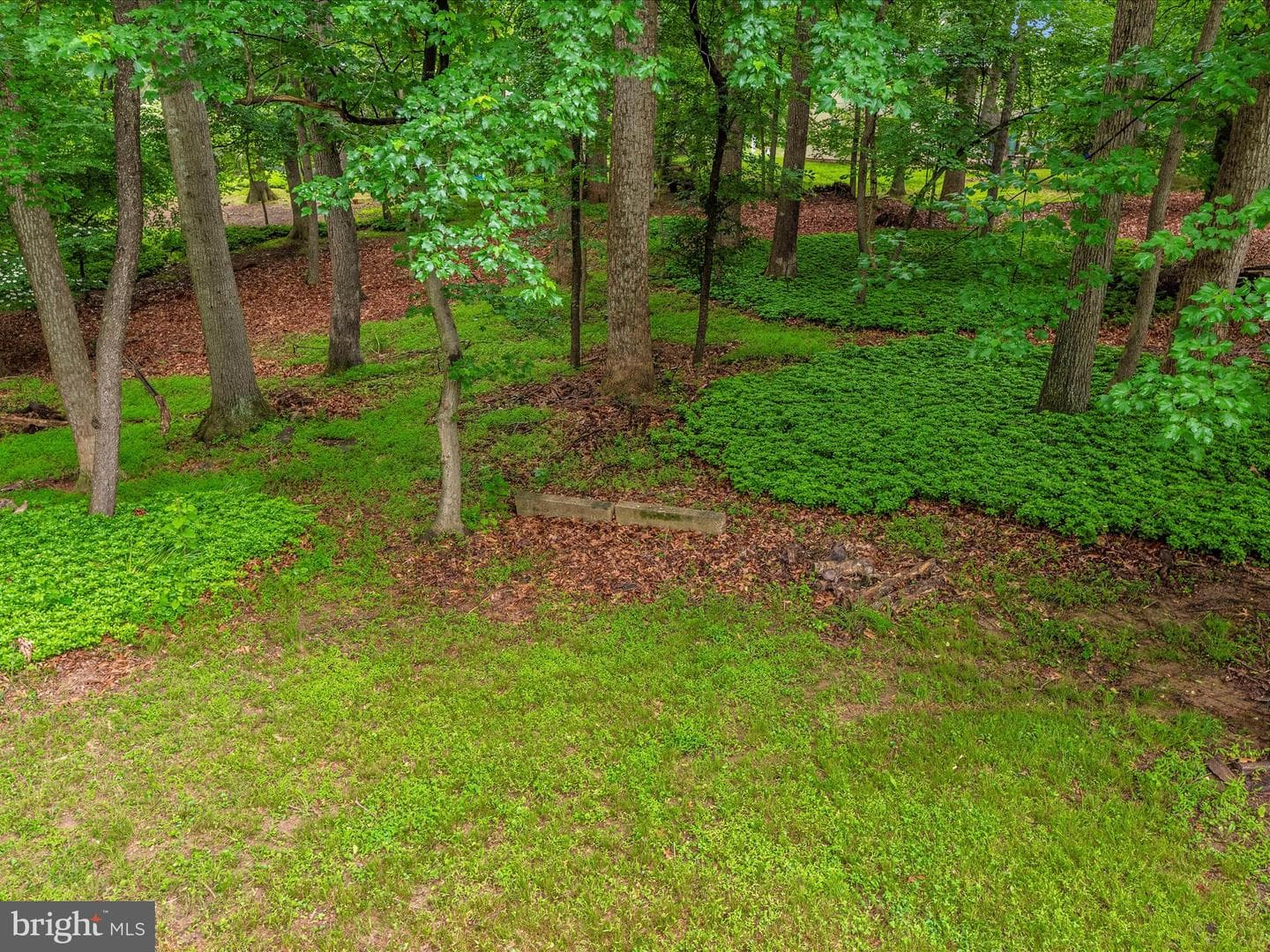 15005 Good Meadow Court photo 53