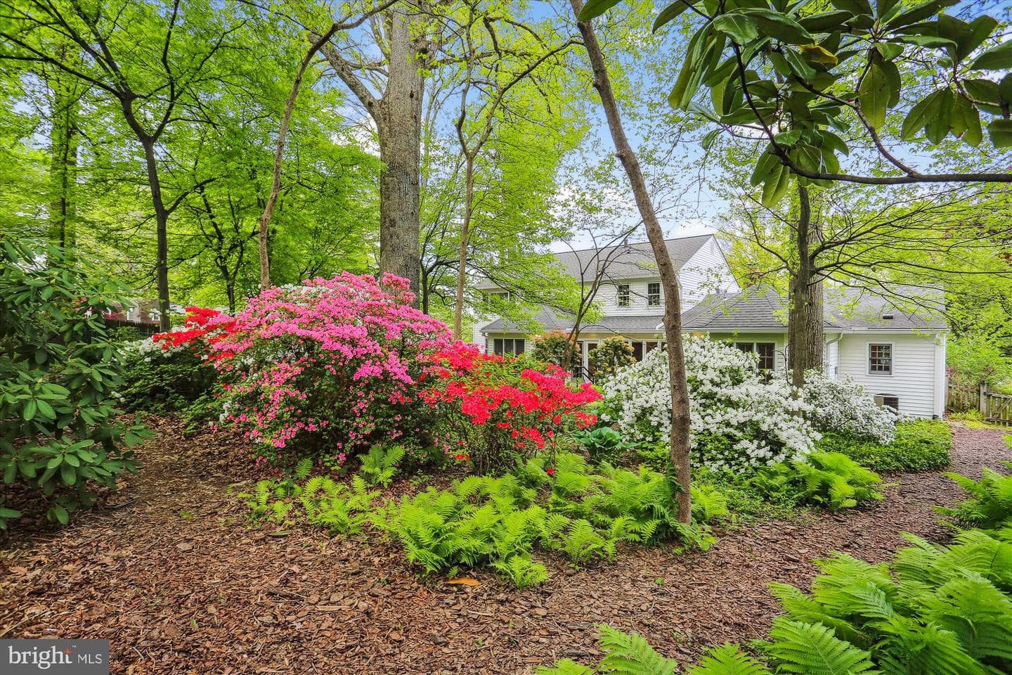 15305 Basswood Court photo 13