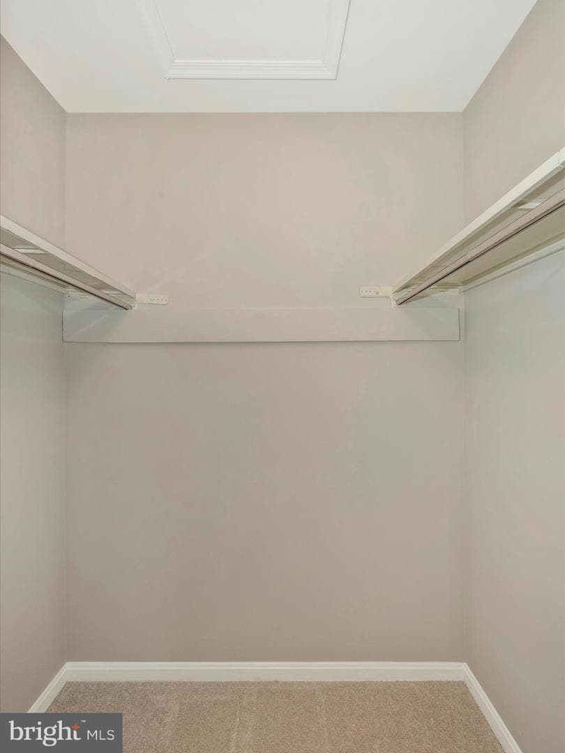 10016 Dellcastle Road photo 24