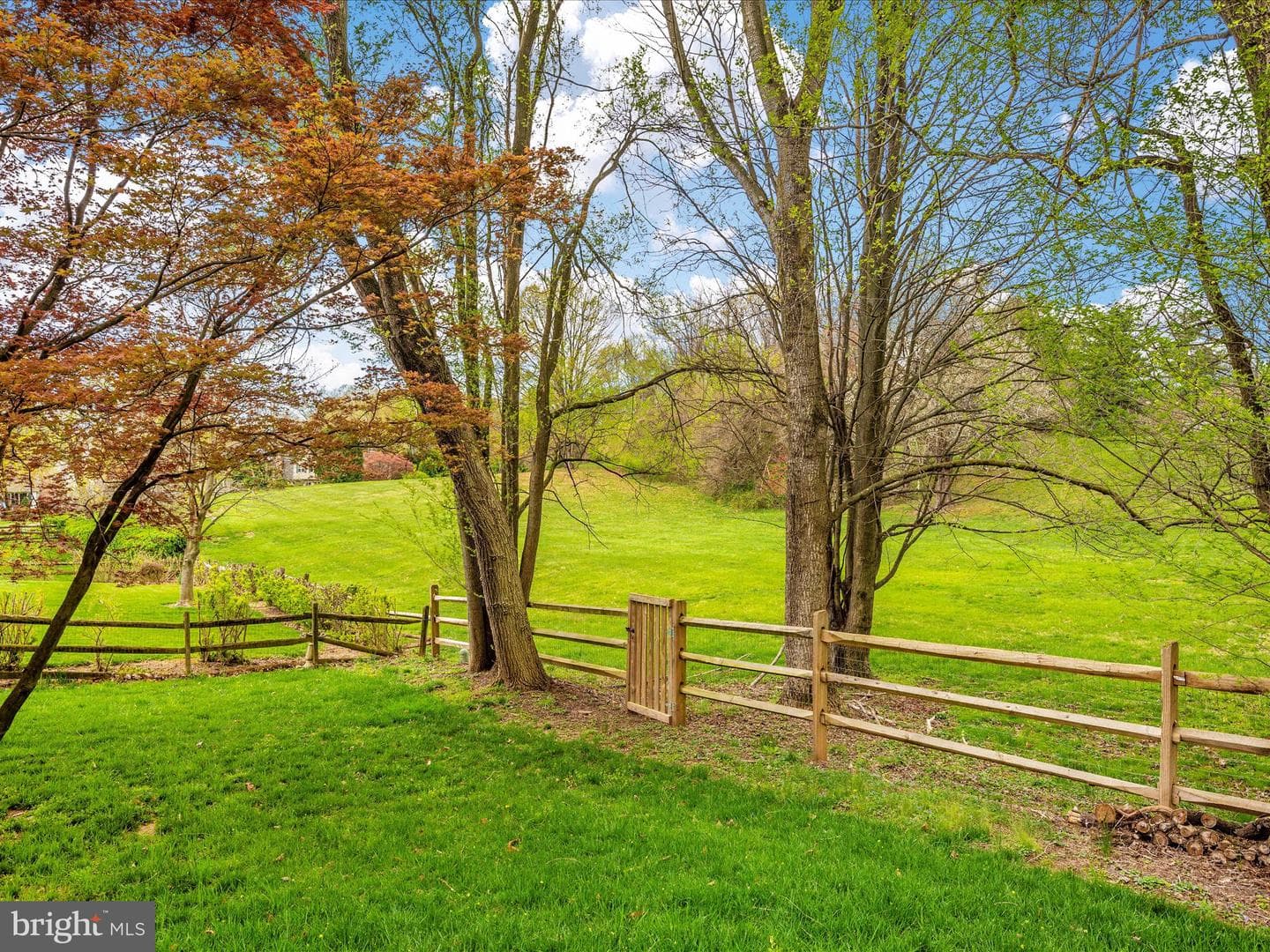 10016 Dellcastle Road photo 46