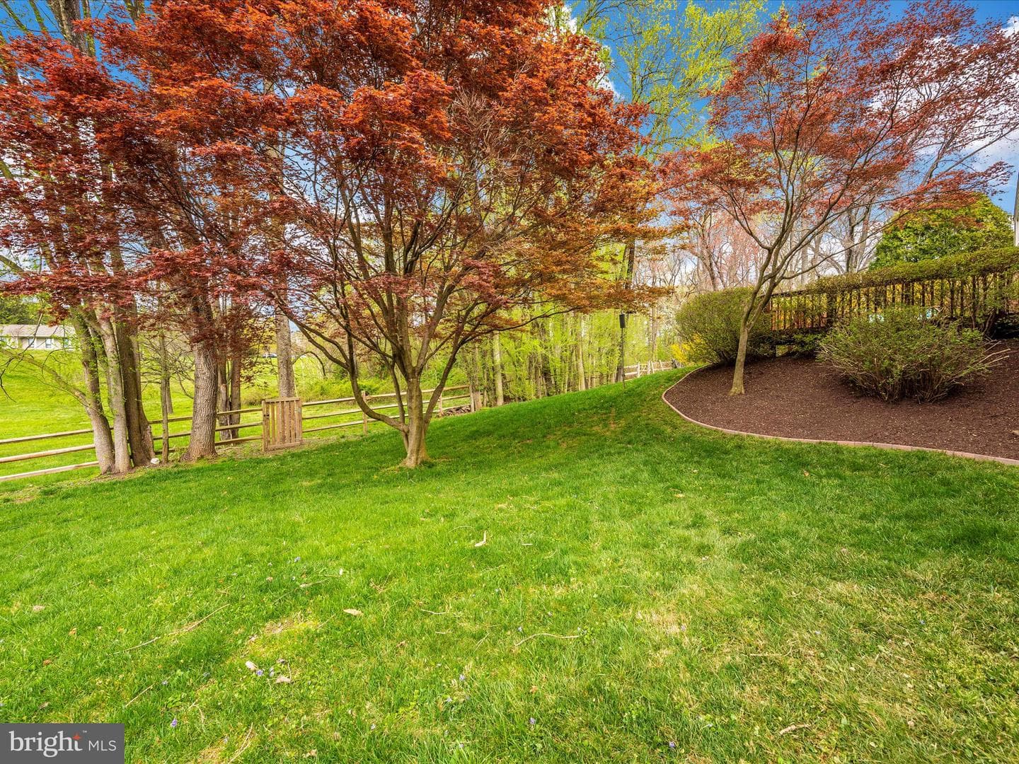 10016 Dellcastle Road photo 48